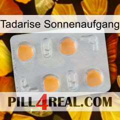 Tadarise Sunrise 24